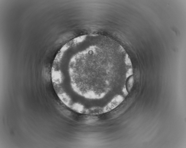 X0000111150719200907281132