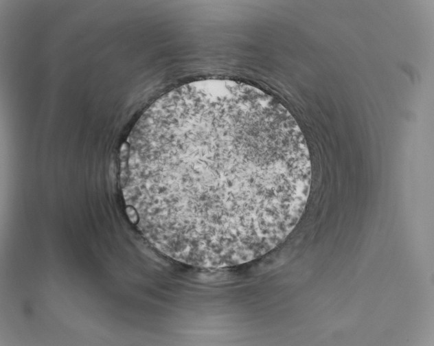 X0000111150720200907281132