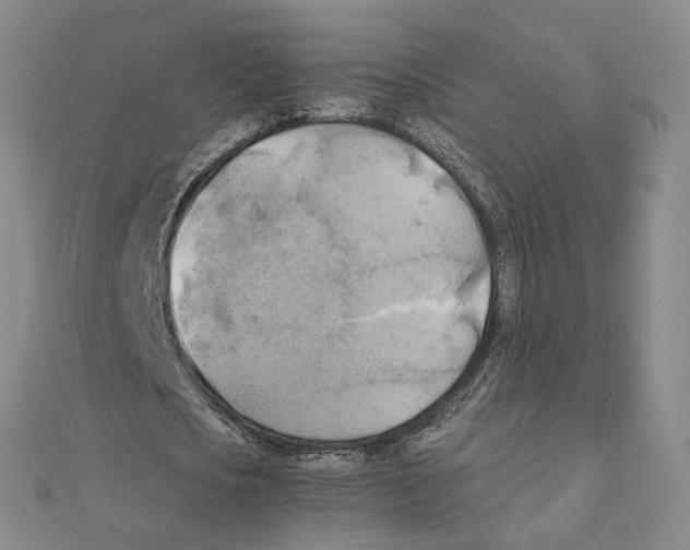 X0000111150721200907281131