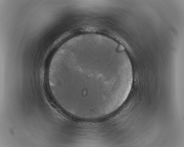 X0000111150722200907281131