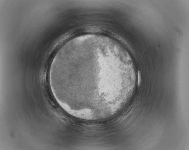 X0000111150723200907281131