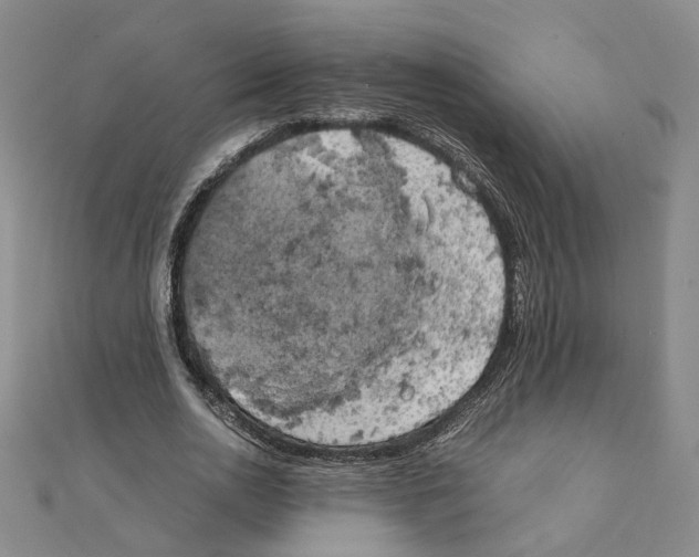 X0000111150726200907281131