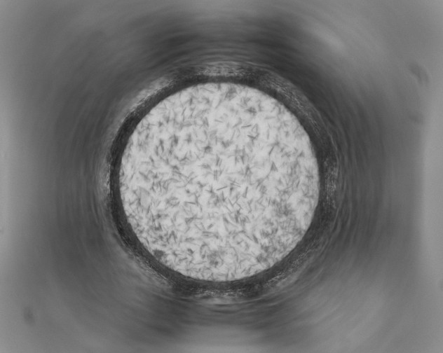 X0000111150727200907281132