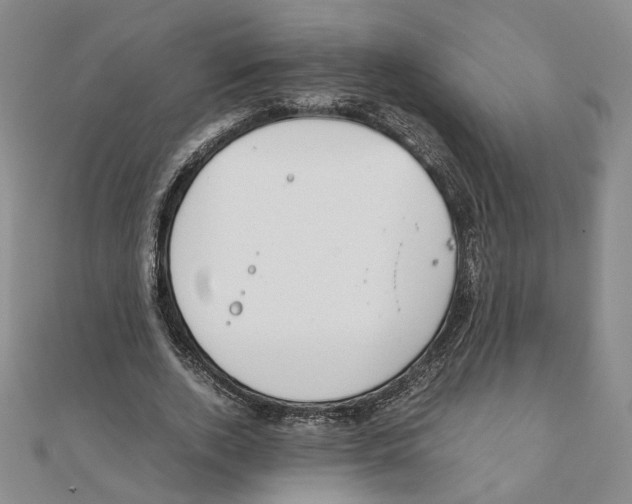 X0000111150728200907281132