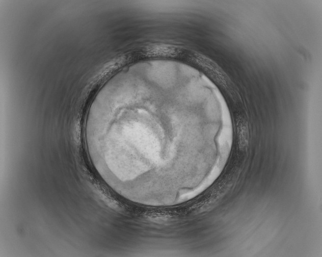 X0000111150729200907281132