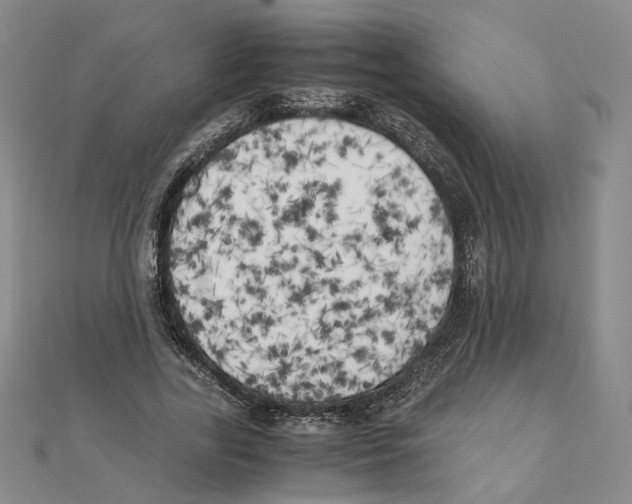 X0000111150731200907281132