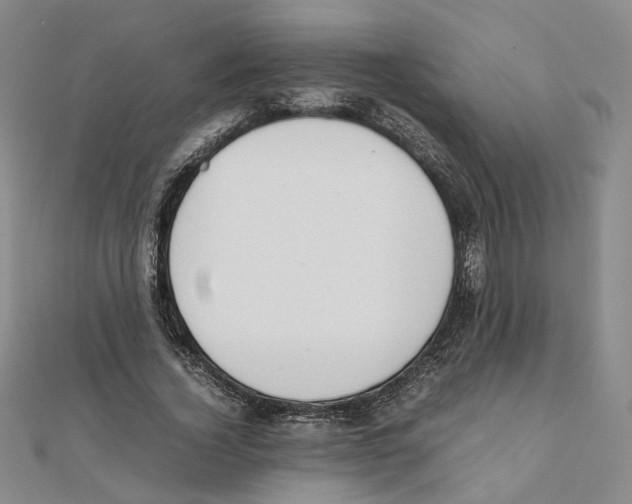 X0000111150732200907281132