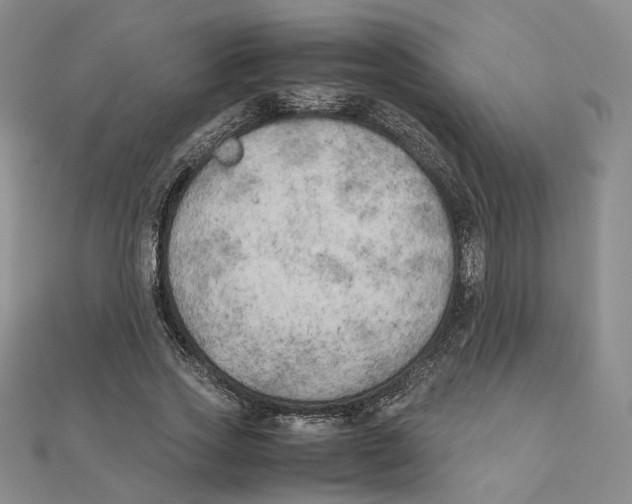 X0000111150733200907281132