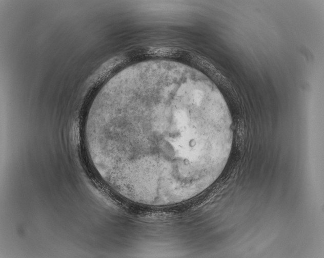 X0000111150734200907281132