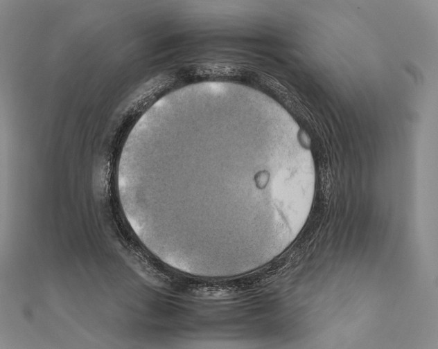 X0000111150735200907281132