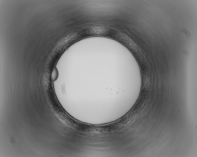 X0000111150736200907281132