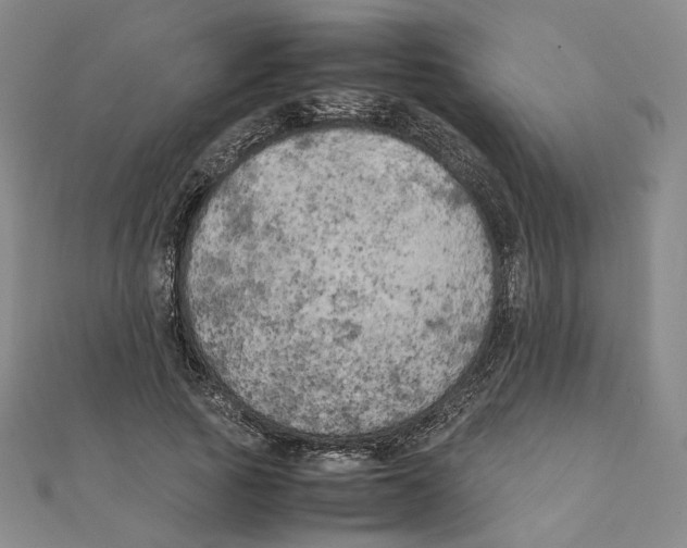 X0000111150737200907281132