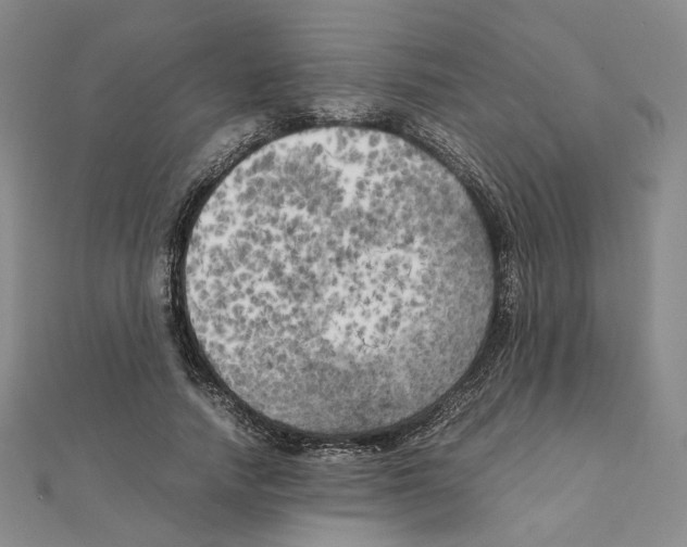 X0000111150738200907281132