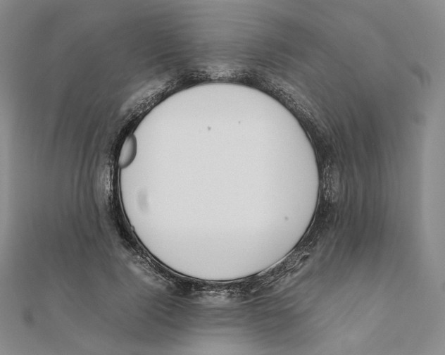 X0000111150740200907281132