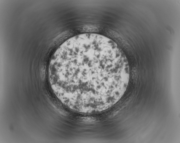 X0000111150741200907281132