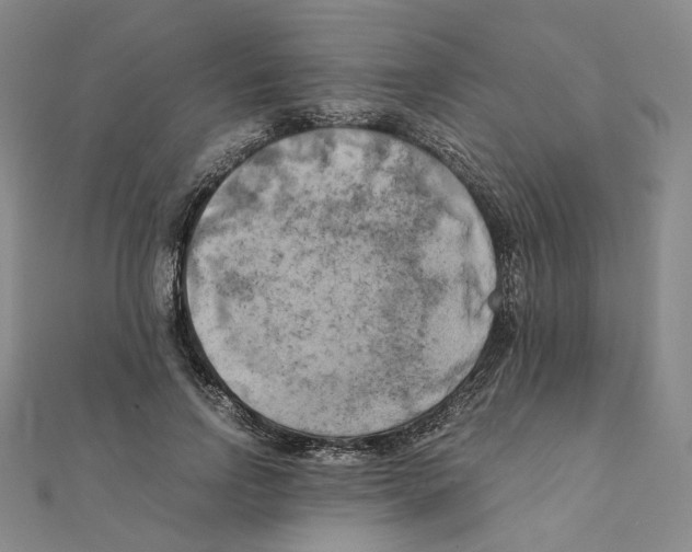 X0000111150742200907281132