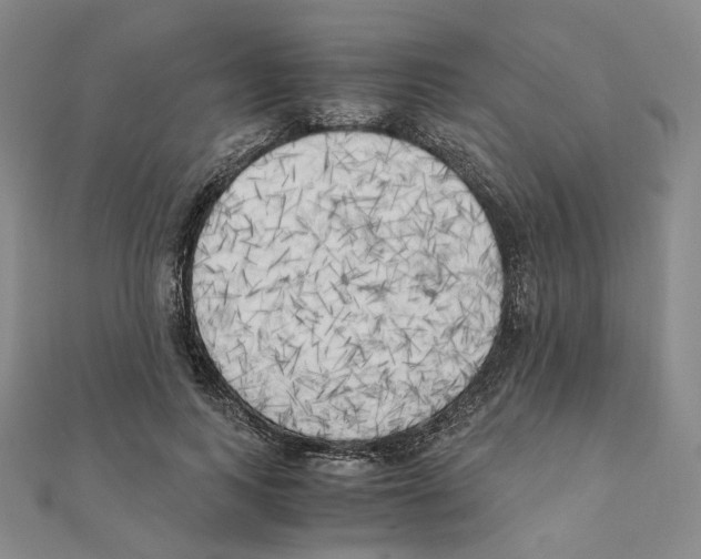 X0000111150743200907281132