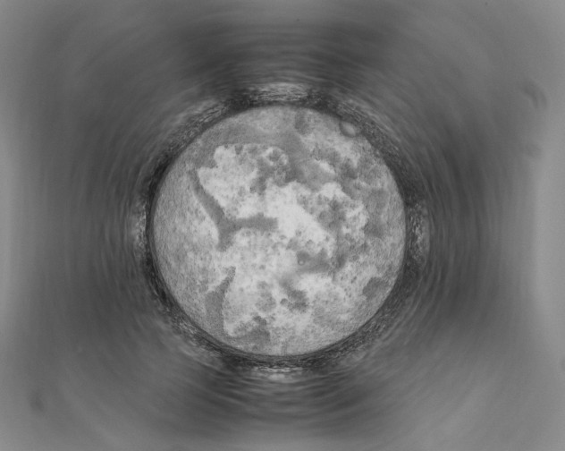 X0000111150745200907281132