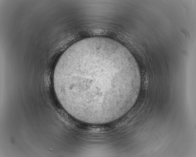 X0000111150746200907281132