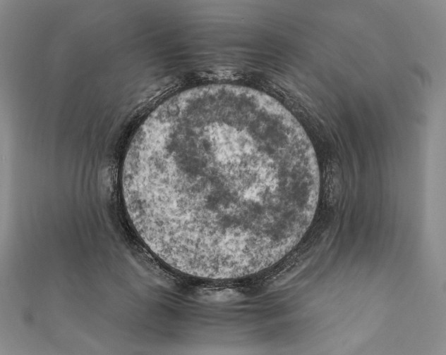 X0000111150747200907281132