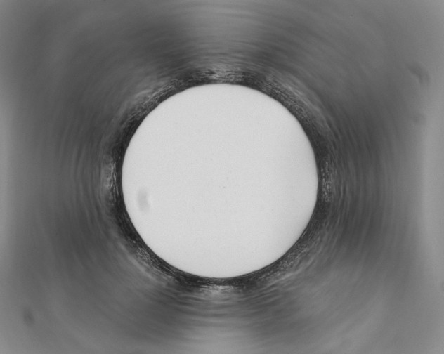 X0000111150748200907281132