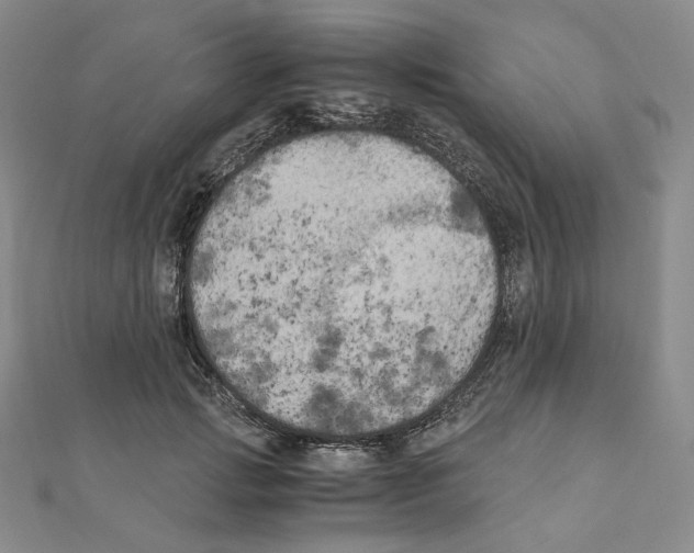 X0000111150749200907281132