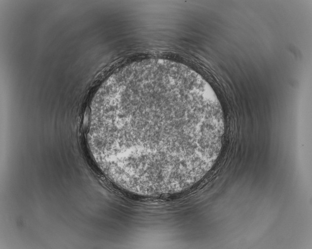 X0000111150750200907281132