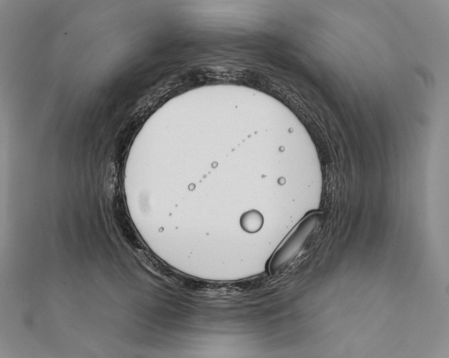 X0000111150752200907281132