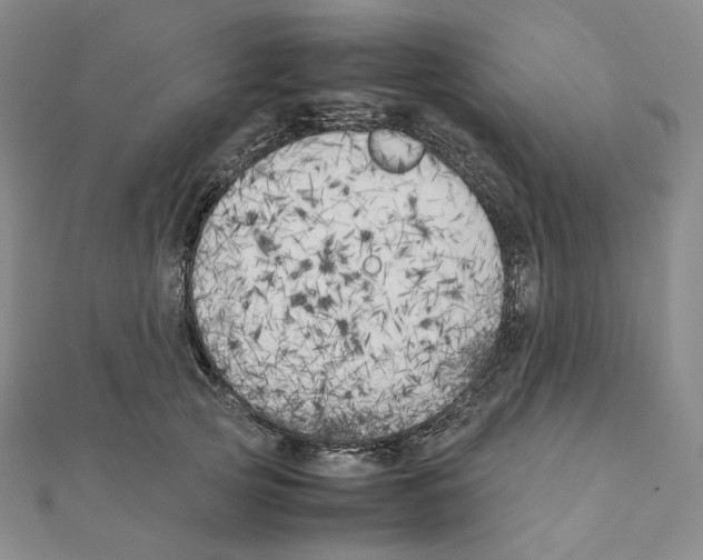 X0000111150753200907281132