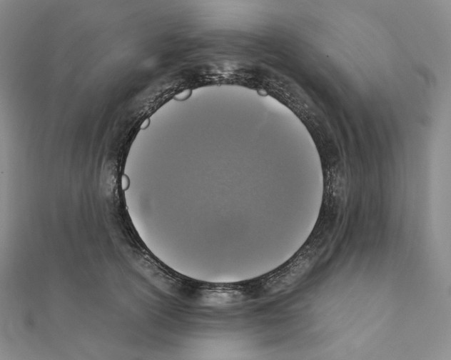 X0000111150754200907281132