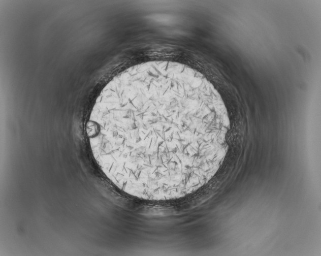 X0000111150755200907281132