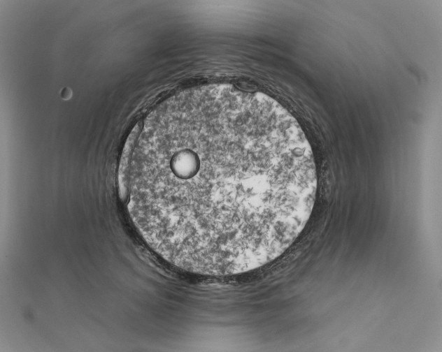 X0000111150756200907281132