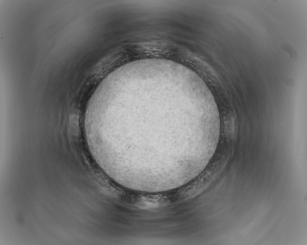 X0000111150757200907281132