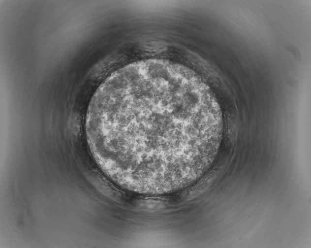 X0000111150758200907281132