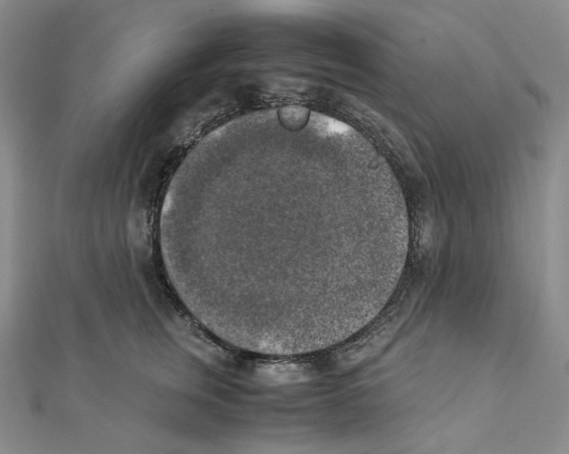 X0000111150759200907281132