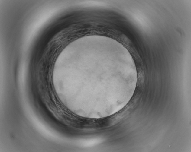 X0000111150765200907281132