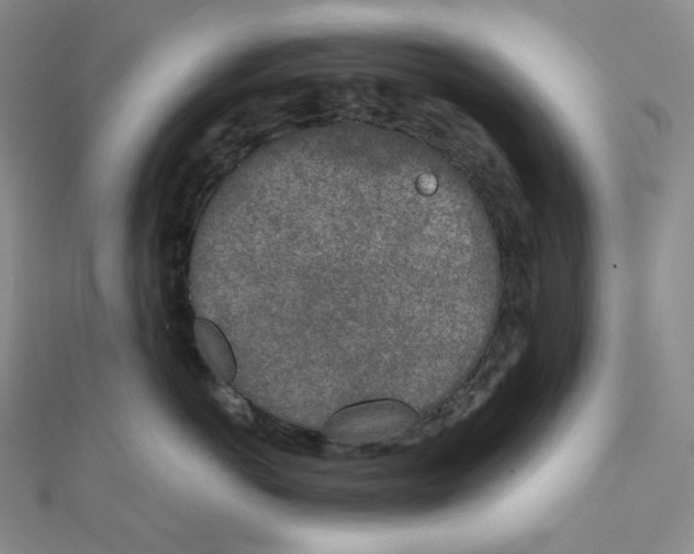 X0000111150766200907281132