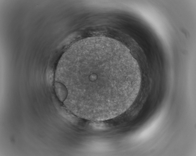 X0000111150767200907281132