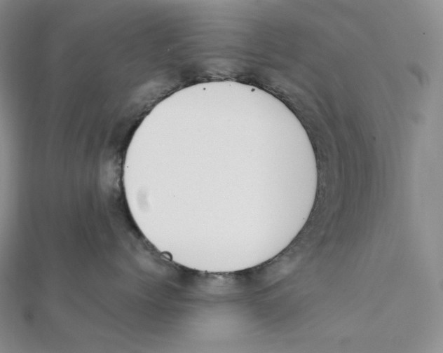 X0000111150768200907281132