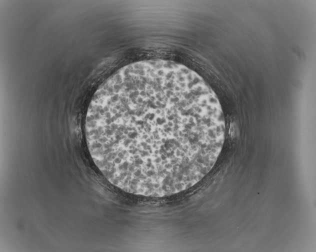 X0000111150771200907281131