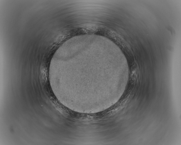 X0000111150772200907281131