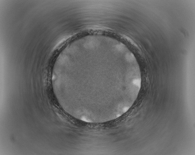 X0000111150775200907281131