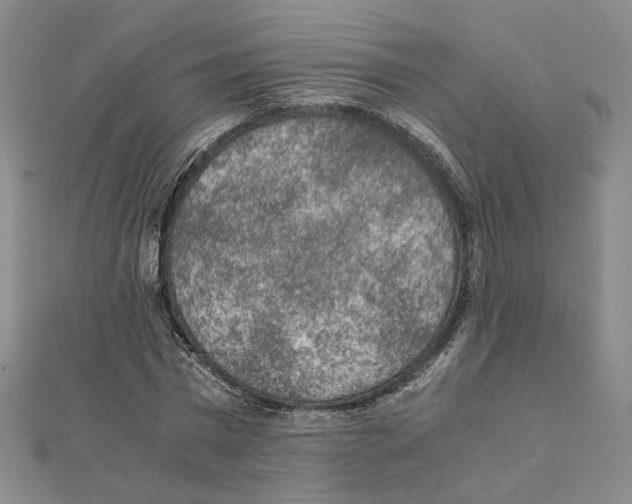 X0000111150777200907281131