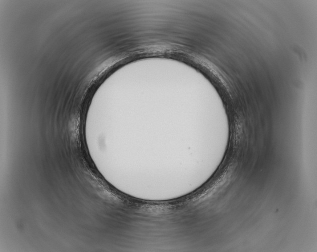 X0000111150778200907281131