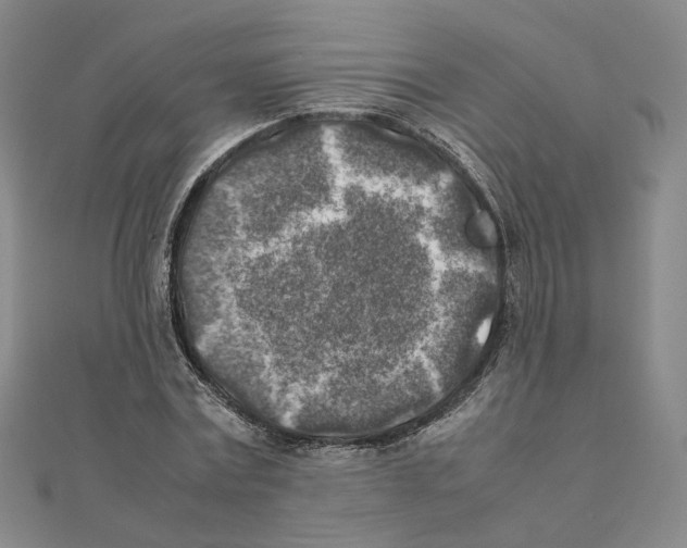 X0000111150779200907281131