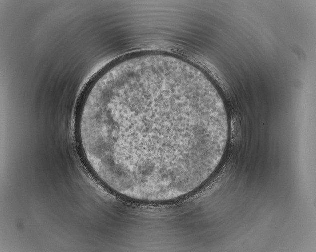 X0000111150780200907281131