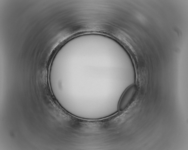 X0000111150781200907281131