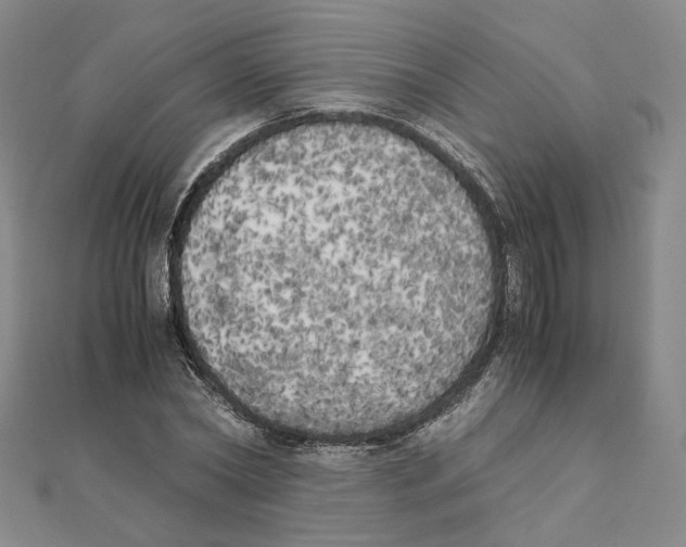 X0000111150782200907281131