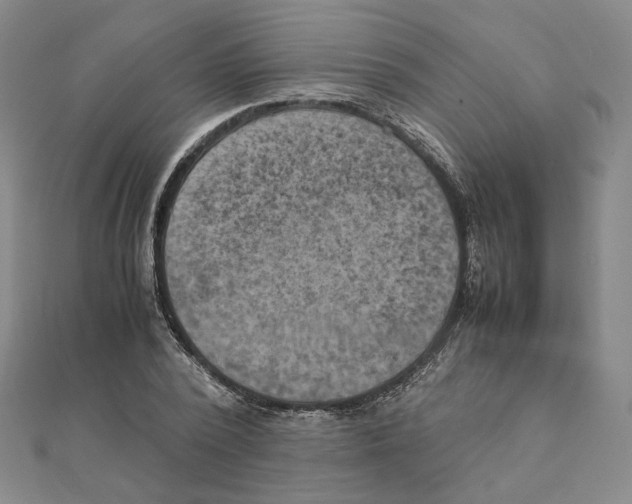 X0000111150784200907281131