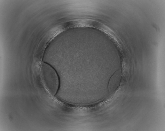 X0000111150785200907281131